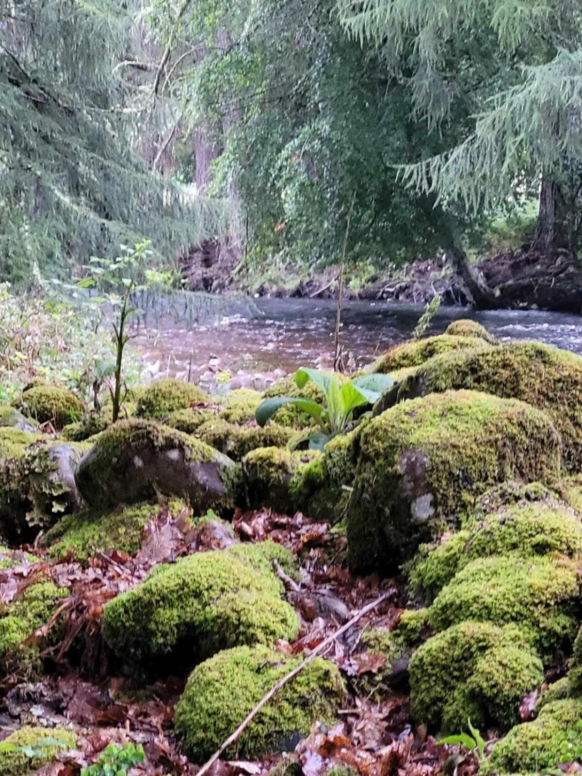 Applecross B&B Bagian luar foto